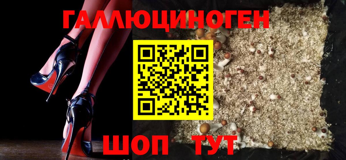 Псилоцибиновые грибы мицелий  Вход с VPN  Вятские Поляны  Галлюциногенные грибы Psilocybe 