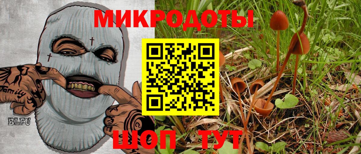 Галлюциногенные грибы мухоморы Вятские Поляны